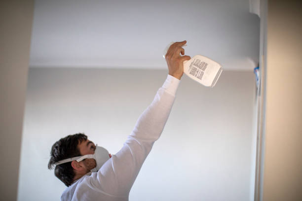 Best Bathroom Mold Remediation in Victoria, TX