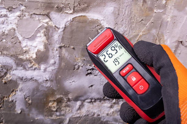 Best Residential Mold Remediation in Victoria, TX